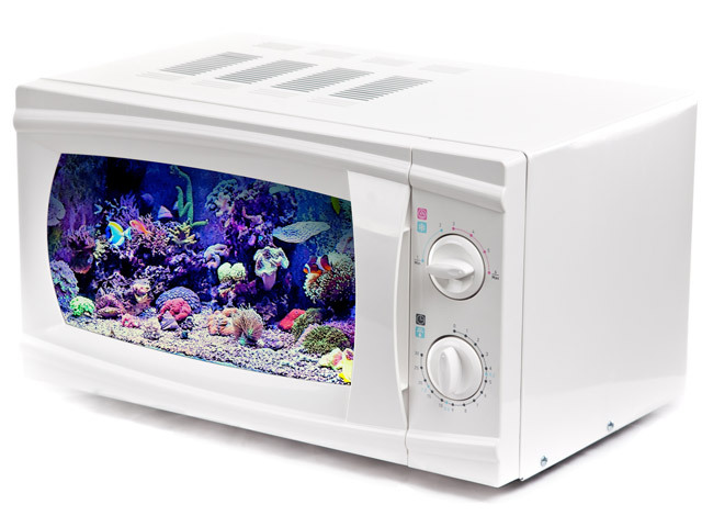 Microwave fish for Parties and Large Groups — Tulo Centre of Indigenous ...